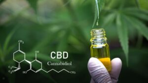 O uso medicinal de Cannabis na odontologia